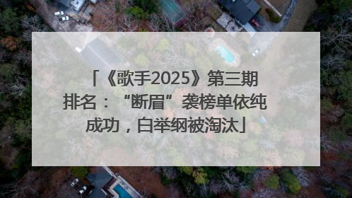 《歌手2025》第三期排名：“断眉”袭榜单依纯成功，白举纲被淘汰