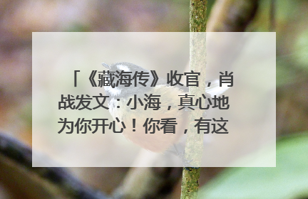 《藏海传》收官，肖战发文：小海，真心地为你开心！你看，有这么多人懂你！