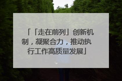 「走在前列」创新机制，凝聚合力，推动执行工作高质量发展
