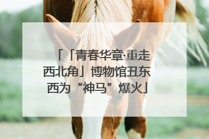 「青春华章·重走西北角」博物馆丑东西为“神马”爆火