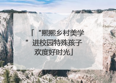 “熙熙乡村美学”进校园特殊孩子欢度好时光