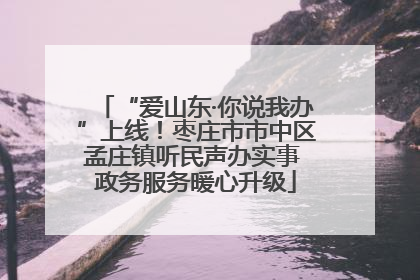 “爱山东·你说我办”上线！枣庄市市中区孟庄镇听民声办实事 政务服务暖心升级
