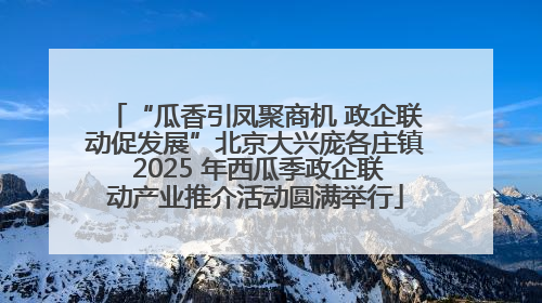 “瓜香引凤聚商机 政企联动促发展”北京大兴庞各庄镇 2025 年西瓜季政企联动产业推介活动圆满举行