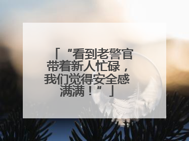 “看到老警官带着新人忙碌，我们觉得安全感满满！”