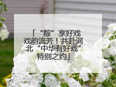 “粽”享好戏 戏韵流芳！共赴河北“中华有好戏”特别之约