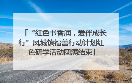 “红色书香润，爱伴成长行”凤城镇福蕾行动计划红色研学活动圆满结束