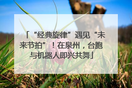 “经典旋律”遇见“未来节拍”！在泉州，台胞与机器人即兴共舞