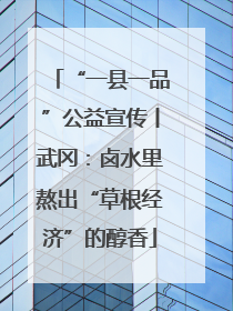 “一县一品”公益宣传丨武冈：卤水里熬出“草根经济”的醇香