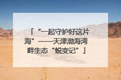 “一起守护好这片海”——天津渤海湾畔生态“蜕变记”