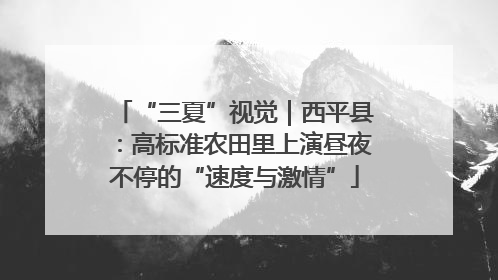 “三夏”视觉｜西平县：高标准农田里上演昼夜不停的“速度与激情”
