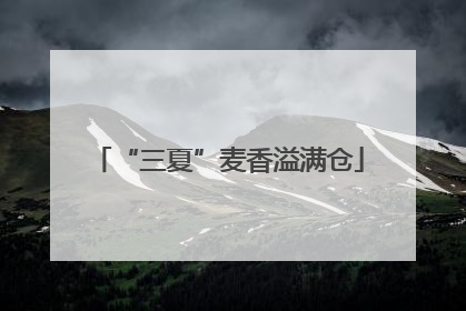 “三夏”麦香溢满仓
