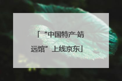 “中国特产·靖远馆”上线京东