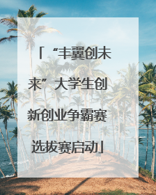 “丰翼创未来”大学生创新创业争霸赛选拔赛启动