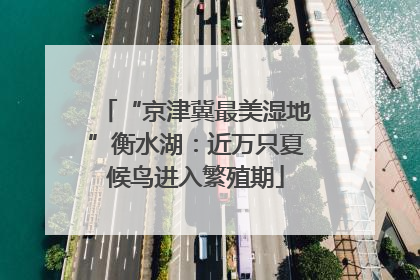 “京津冀最美湿地”衡水湖：近万只夏候鸟进入繁殖期