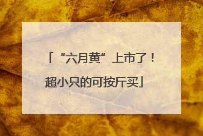“六月黄”上市了！超小只的可按斤买