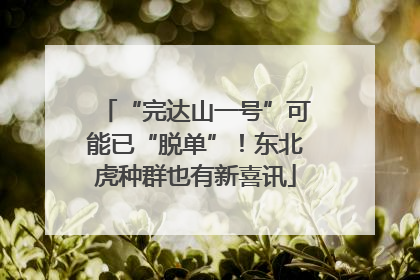 “完达山一号”可能已“脱单”！东北虎种群也有新喜讯