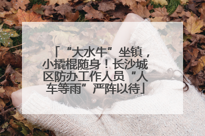 “大水牛”坐镇，小撬棍随身！长沙城区防办工作人员“人车等雨”严阵以待