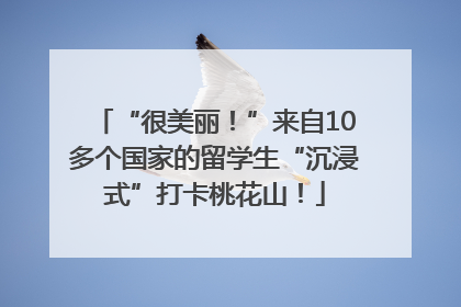 “很美丽！”来自10多个国家的留学生“沉浸式”打卡桃花山！