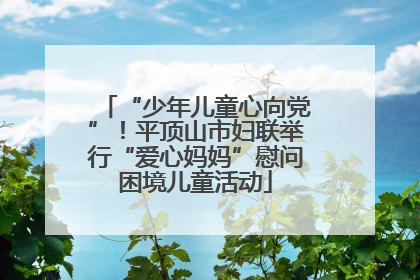 “少年儿童心向党”！平顶山市妇联举行“爱心妈妈”慰问困境儿童活动