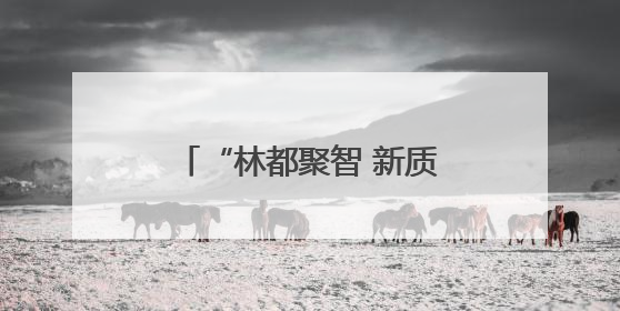 “林都聚智 新质赋能”民营企业家助力伊春高质量发展主题活动开幕