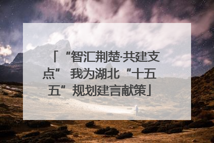 “智汇荆楚·共建支点” 我为湖北“十五五”规划建言献策