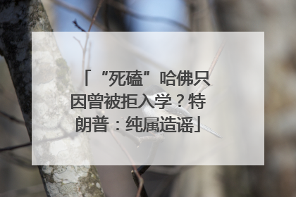 “死磕”哈佛只因曾被拒入学？特朗普：纯属造谣