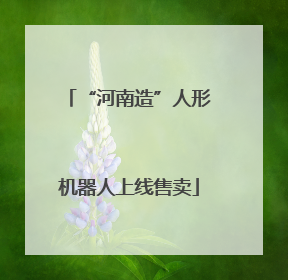 “河南造”人形机器人上线售卖