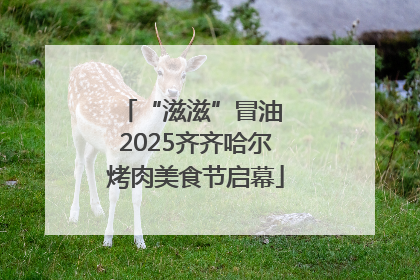 “滋滋”冒油 2025齐齐哈尔烤肉美食节启幕