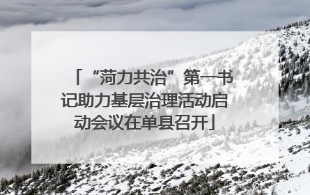 “菏力共治”第一书记助力基层治理活动启动会议在单县召开