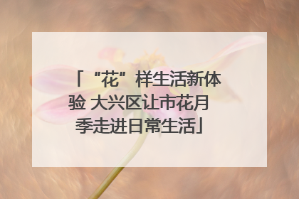 “花”样生活新体验 大兴区让市花月季走进日常生活