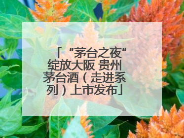 “茅台之夜”绽放大阪 贵州茅台酒（走进系列）上市发布