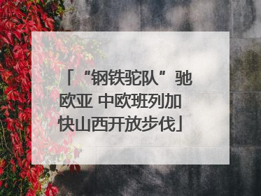 “钢铁驼队”驰欧亚 中欧班列加快山西开放步伐