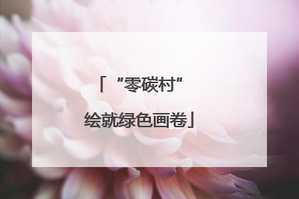 “零碳村” 绘就绿色画卷