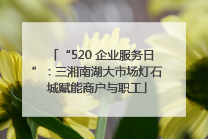 “520 企业服务日”：三湘南湖大市场灯石城赋能商户与职工