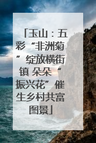 玉山：五彩“非洲菊”绽放横街镇 朵朵“振兴花”催生乡村共富图景