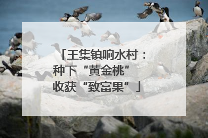 王集镇响水村：种下“黄金桃” 收获“致富果”
