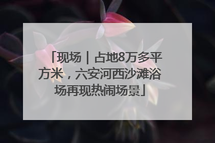 现场｜占地8万多平方米，六安河西沙滩浴场再现热闹场景