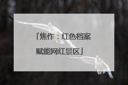 焦作：红色档案赋能网红景区