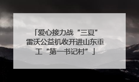 爱心接力战“三夏” 雷沃公益机收开进山东重工“第一书记村”