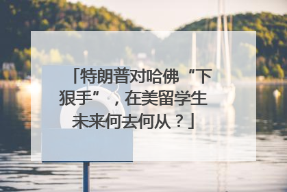 特朗普对哈佛“下狠手”，在美留学生未来何去何从？