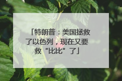特朗普：美国拯救了以色列，现在又要救“比比”了
