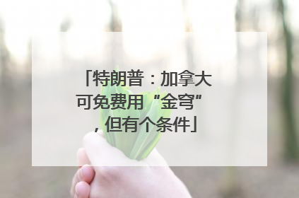 特朗普：加拿大可免费用“金穹”，但有个条件