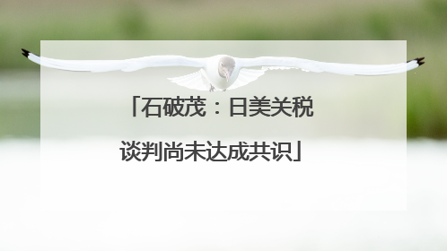 石破茂：日美关税谈判尚未达成共识