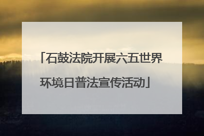 石鼓法院开展六五世界环境日普法宣传活动