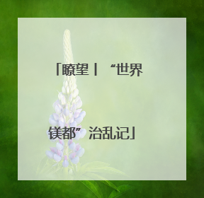 瞭望丨“世界镁都”治乱记
