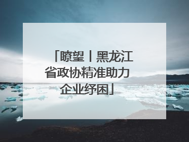 瞭望丨黑龙江省政协精准助力企业纾困