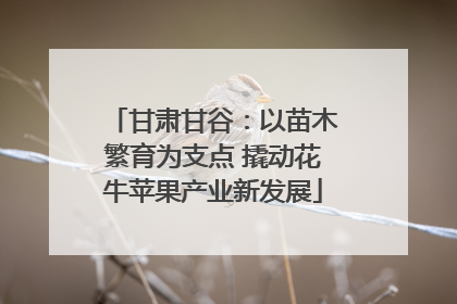 甘肃甘谷：以苗木繁育为支点 撬动花牛苹果产业新发展