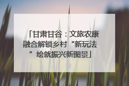 甘肃甘谷：文旅农康融合解锁乡村“新玩法”绘就振兴新图景