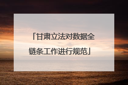 甘肃立法对数据全链条工作进行规范