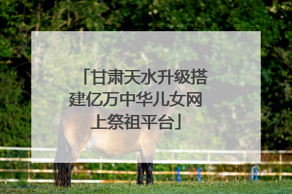 甘肃天水升级搭建亿万中华儿女网上祭祖平台